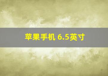 苹果手机 6.5英寸